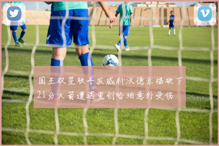 国王双星联手发威科沃德乐福砍下21分火箭遭遇重创哈珀意外受伤