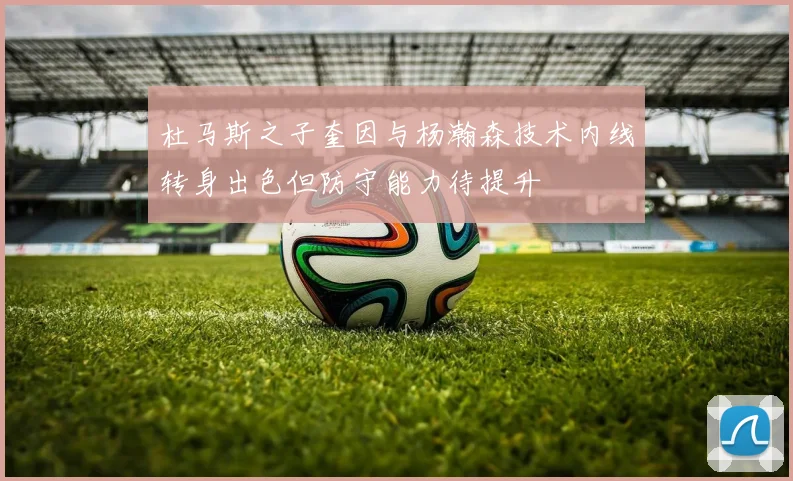 杜马斯之子奎因与杨瀚森技术内线转身出色但防守能力待提升